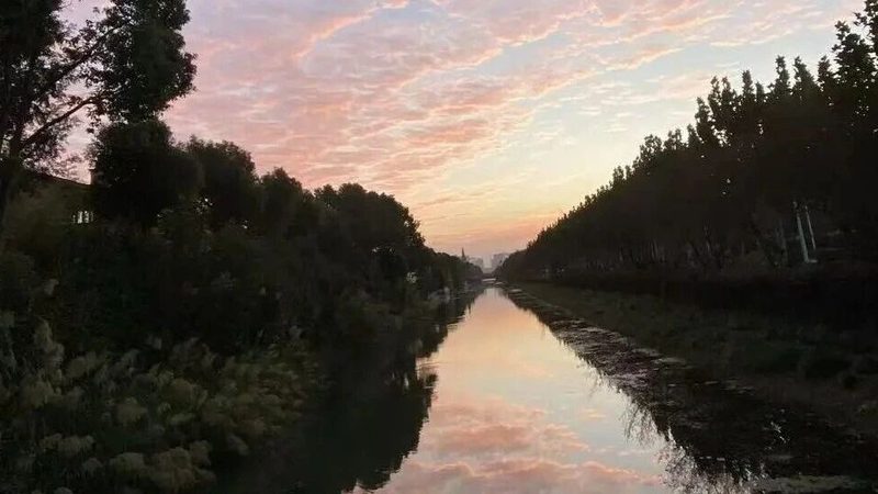 闲置商标转让：流程揭秘与费用解析**